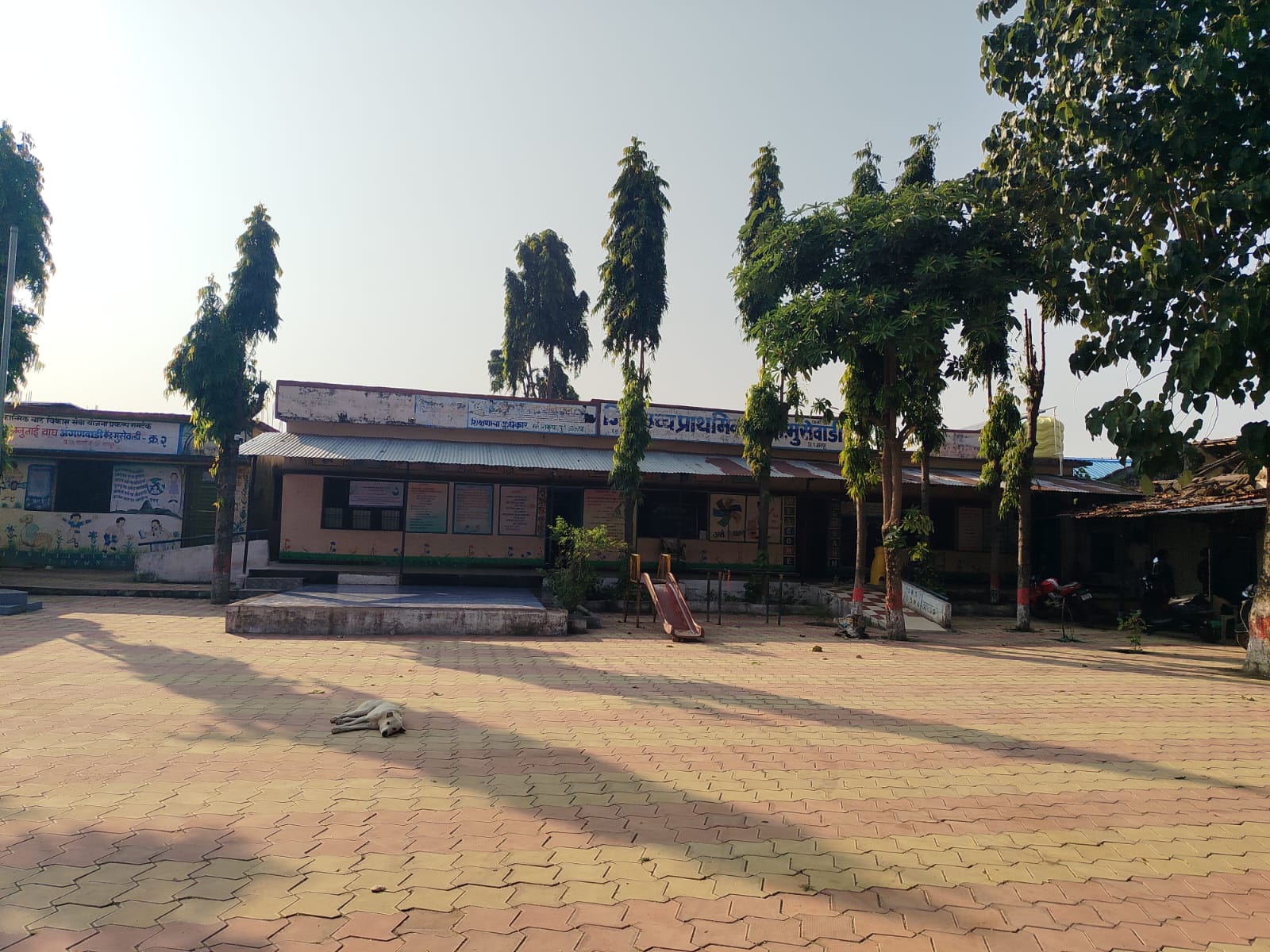 school